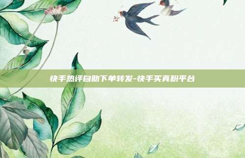 快手热评自助下单转发-快手买真粉平台