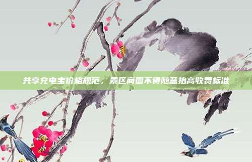 共享充电宝价格规范，景区商圈不得随意抬高收费标准