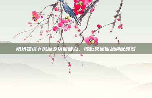 防汛物资下沉至乡镇储备点,缩短灾害应急调配时效