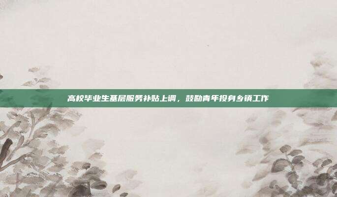 高校毕业生基层服务补贴上调,鼓励青年投身乡镇工作