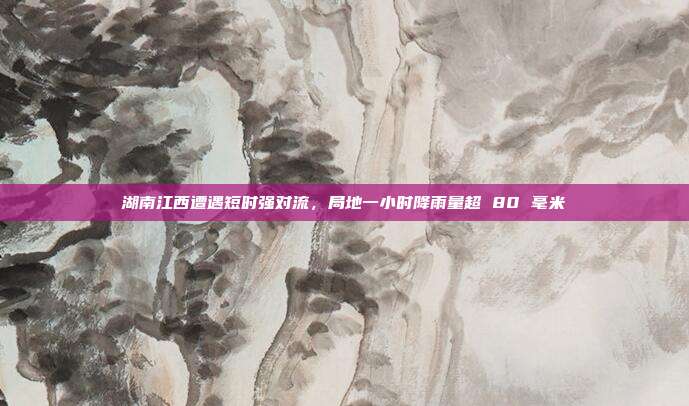 湖南江西遭遇短时强对流，局地一小时降雨量超 80 毫米