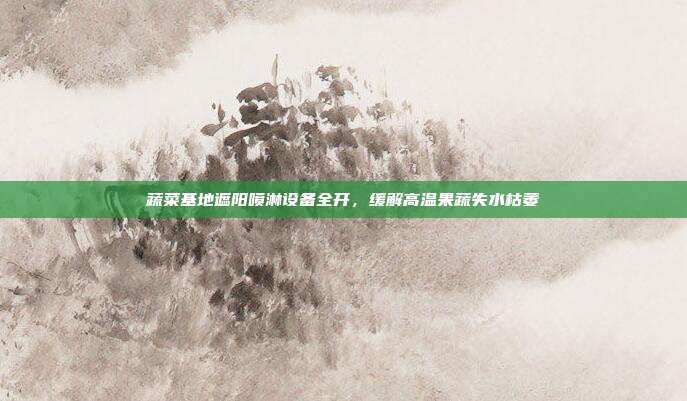 蔬菜基地遮阳喷淋设备全开，缓解高温果蔬失水枯萎