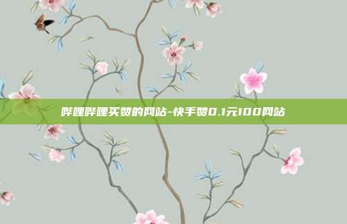 哔哩哔哩买赞的网站-快手赞0.1元100网站