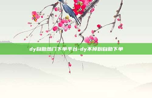 dy自助热门下单平台-dy不掉粉自助下单