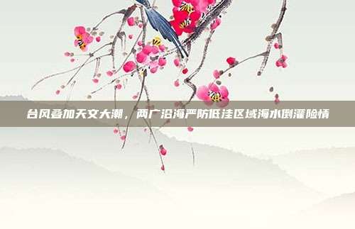 台风叠加天文大潮，两广沿海严防低洼区域海水倒灌险情