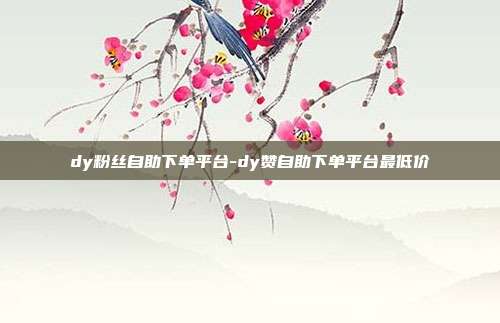 dy粉丝自助下单平台-dy赞自助下单平台最低价