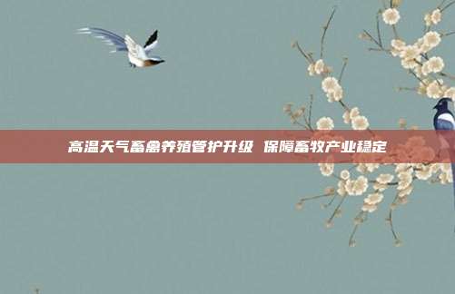 高温天气畜禽养殖管护升级 保障畜牧产业稳定