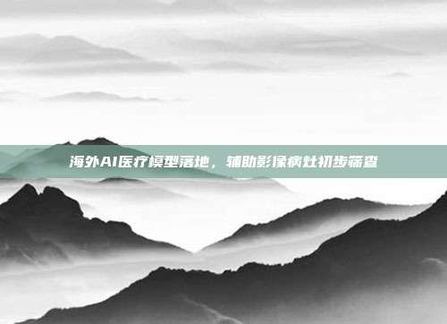 海外AI医疗模型落地,辅助影像病灶初步筛查
