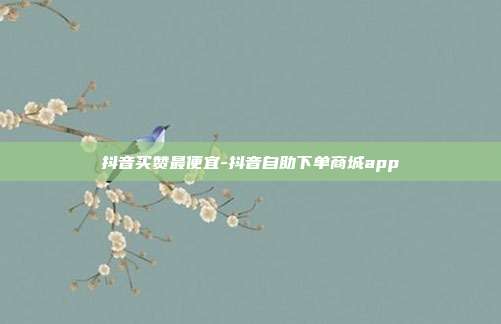 抖音买赞最便宜-抖音自助下单商城app