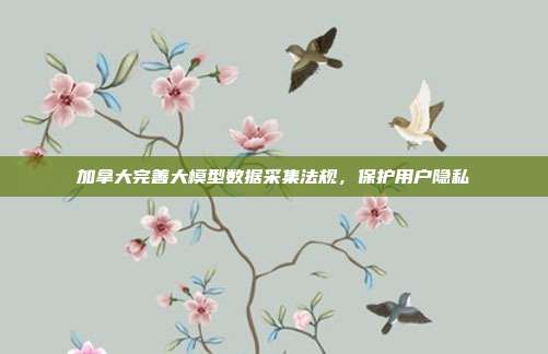 加拿大完善大模型数据采集法规，保护用户隐私