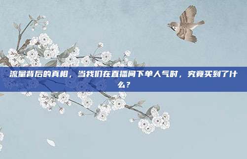 流量背后的真相,当我们在直播间下单人气时,究竟买到了什么?