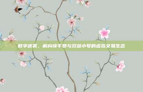 数字迷雾,解构快手赞与双参小号的虚拟交易生态