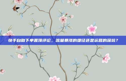 快手自助下单置顶评论,流量暴涨的捷径还是运营的深坑?