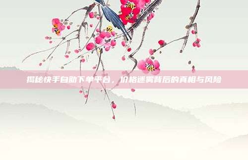 揭秘快手自助下单平台,价格迷雾背后的真相与风险