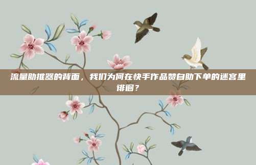 流量助推器的背面，我们为何在快手作品赞自助下单的迷宫里徘徊？