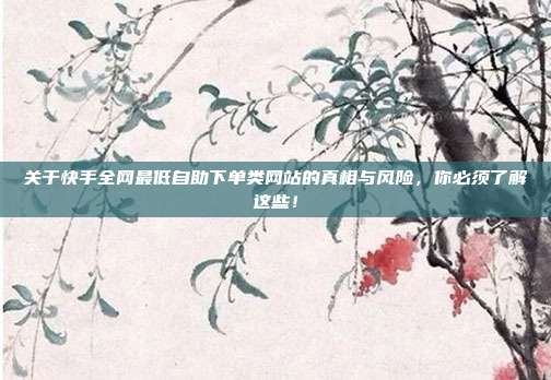 关于快手全网最低自助下单类网站的真相与风险,你必须了解这些!
