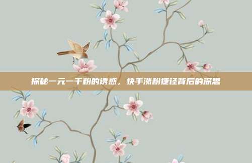 探秘一元一千粉的诱惑,快手涨粉捷径背后的深思