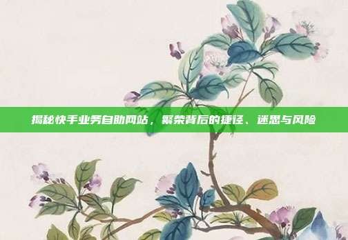 揭秘快手业务自助网站，繁荣背后的捷径、迷思与风险