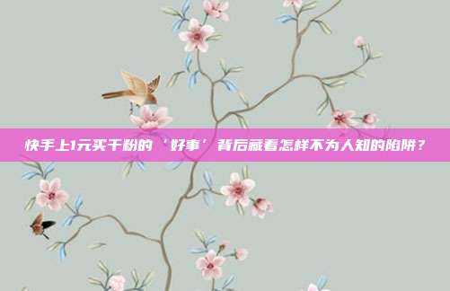 快手上1元买千粉的‘好事’背后藏着怎样不为人知的陷阱？