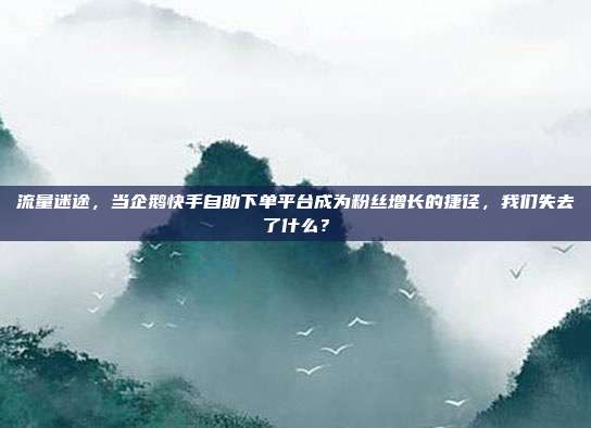 流量迷途,当企鹅快手自助下单平台成为粉丝增长的捷径,我们失去了什么?