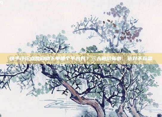 快手评论点赞自助下单哪个平台好?三大避坑指南,选对不踩雷