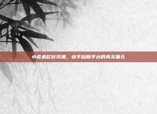 小老弟砍价风潮,快手自助平台的真实面孔
