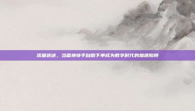 流量迷途，当雷神快手自助下单成为数字时代的加速陷阱