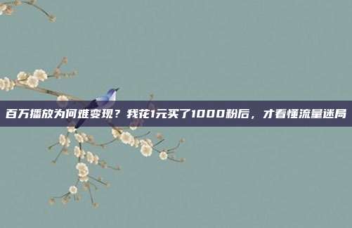 百万播放为何难变现？我花1元买了1000粉后，才看懂流量迷局