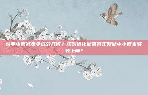 快手电商减负令成效几何？规则优化能否真正赋能中小商家轻装上阵？