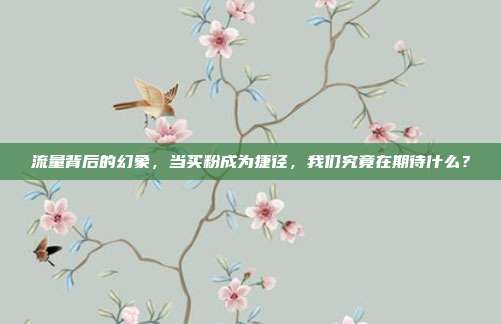 流量背后的幻象，当买粉成为捷径，我们究竟在期待什么？
