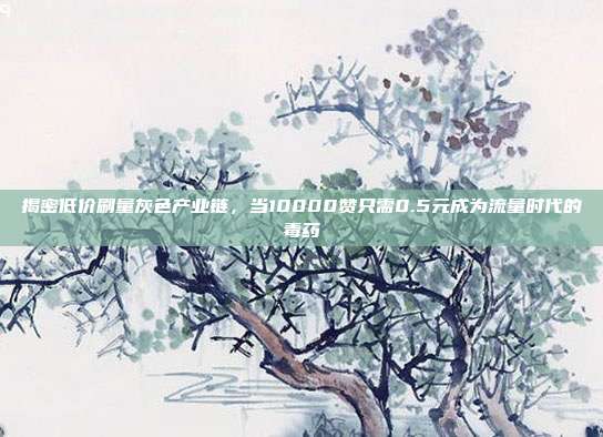 揭密低价刷量灰色产业链，当10000赞只需0.5元成为流量时代的毒药