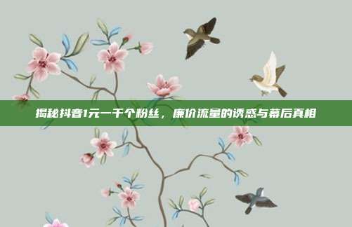 揭秘抖音1元一千个粉丝,廉价流量的诱惑与幕后真相