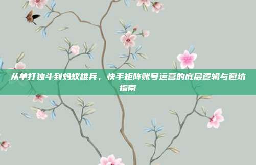 从单打独斗到蚂蚁雄兵,快手矩阵账号运营的底层逻辑与避坑指南