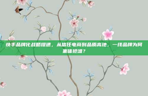 快手品牌化战略提速,从信任电商到品质高地,一线品牌为何集体抢滩?