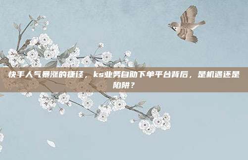 快手人气暴涨的捷径,ks业务自助下单平台背后,是机遇还是陷阱?
