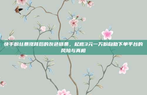 快手粉丝暴涨背后的灰色链条,起底3元一万粉自助下单平台的风险与真相