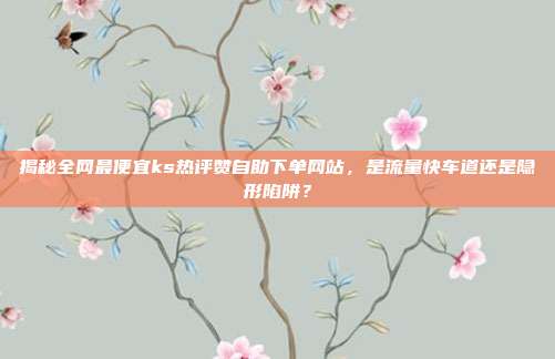 揭秘全网最便宜ks热评赞自助下单网站，是流量快车道还是隐形陷阱？