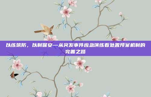 以练筑防,以制保安—从突发事件应急演练看处置预案机制的完善之路