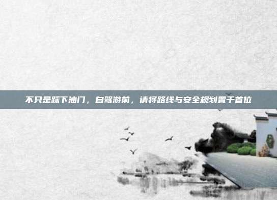 不只是踩下油门，自驾游前，请将路线与安全规划置于首位