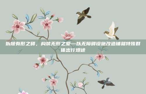 拆除有形之碍,构筑无形之爱—以无障碍设施改造铺就特殊群体出行坦途