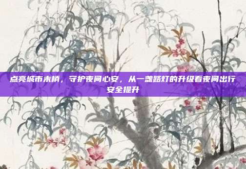点亮城市末梢,守护夜间心安,从一盏路灯的升级看夜间出行安全提升