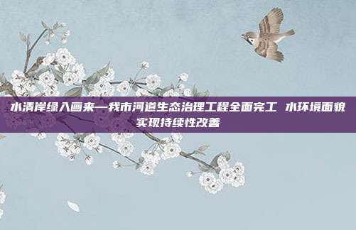 水清岸绿入画来—我市河道生态治理工程全面完工 水环境面貌实现持续性改善