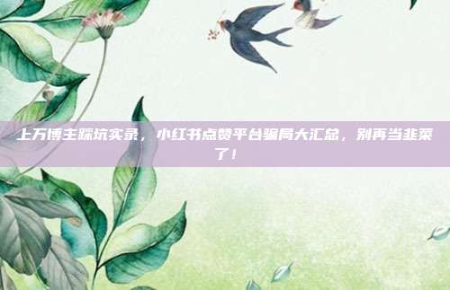 上万博主踩坑实录,小红书点赞平台骗局大汇总,别再当韭菜了!