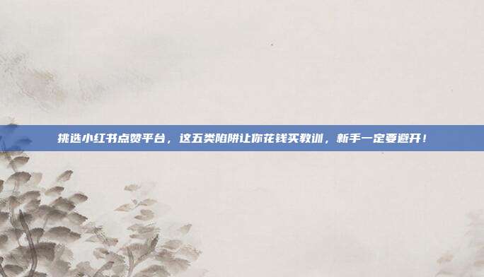 挑选小红书点赞平台,这五类陷阱让你花钱买教训,新手一定要避开!
