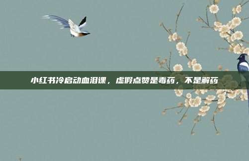 小红书冷启动血泪课，虚假点赞是毒药，不是解药
