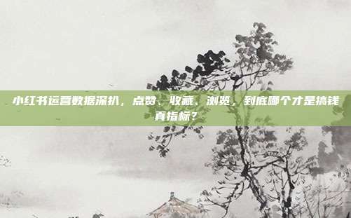 小红书运营数据深扒，点赞、收藏、浏览，到底哪个才是搞钱真指标？