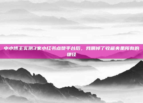 中小博主实测3家小红书点赞平台后,我删掉了收藏夹里所有的捷径