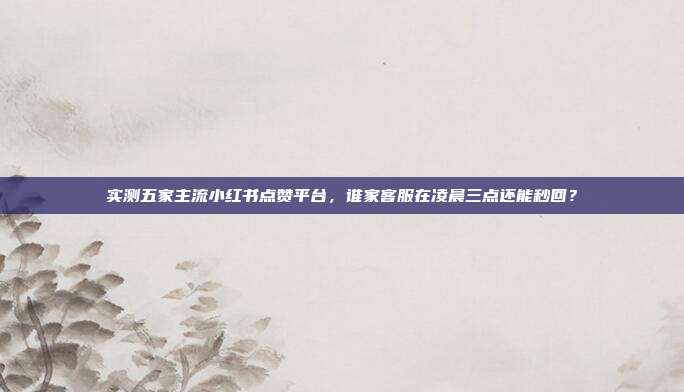 实测五家主流小红书点赞平台,谁家客服在凌晨三点还能秒回?