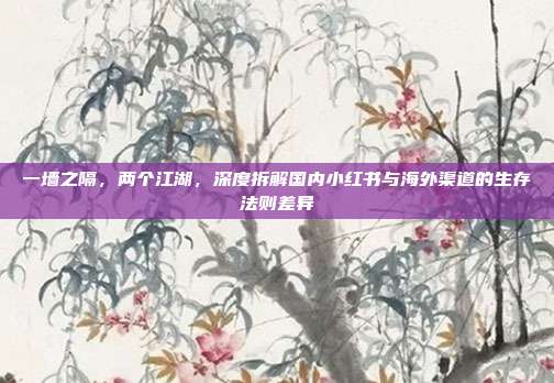 一墙之隔,两个江湖,深度拆解国内小红书与海外渠道的生存法则差异