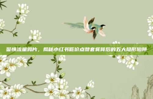 警惕流量鸦片,揭秘小红书低价点赞套餐背后的五大隐形陷阱